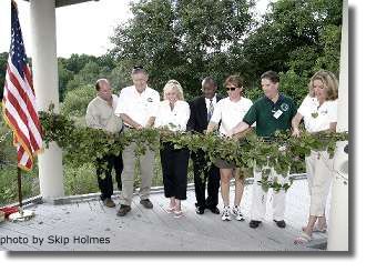 vine cutting