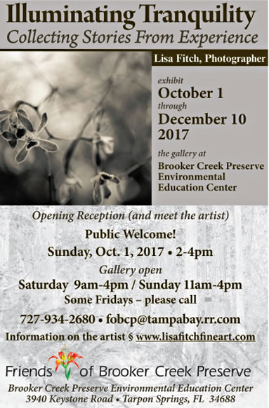 Friends of Brooker Creek Preserve Home Page